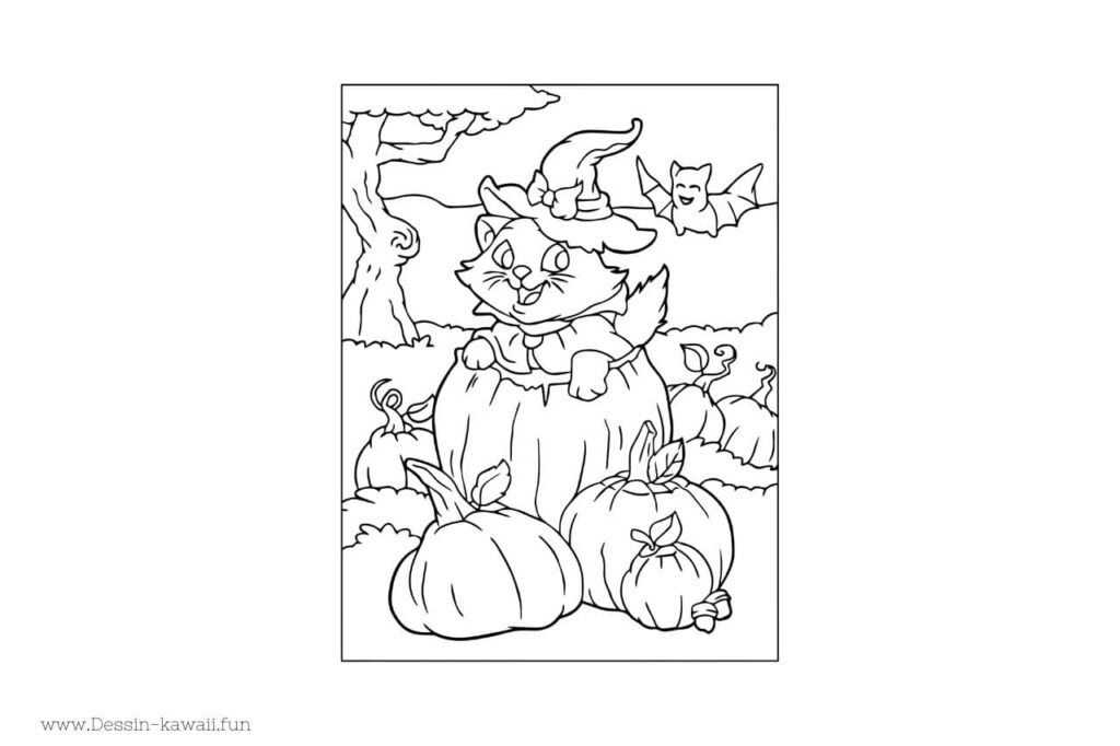 coloriage chat citrouilles et chauve-souris