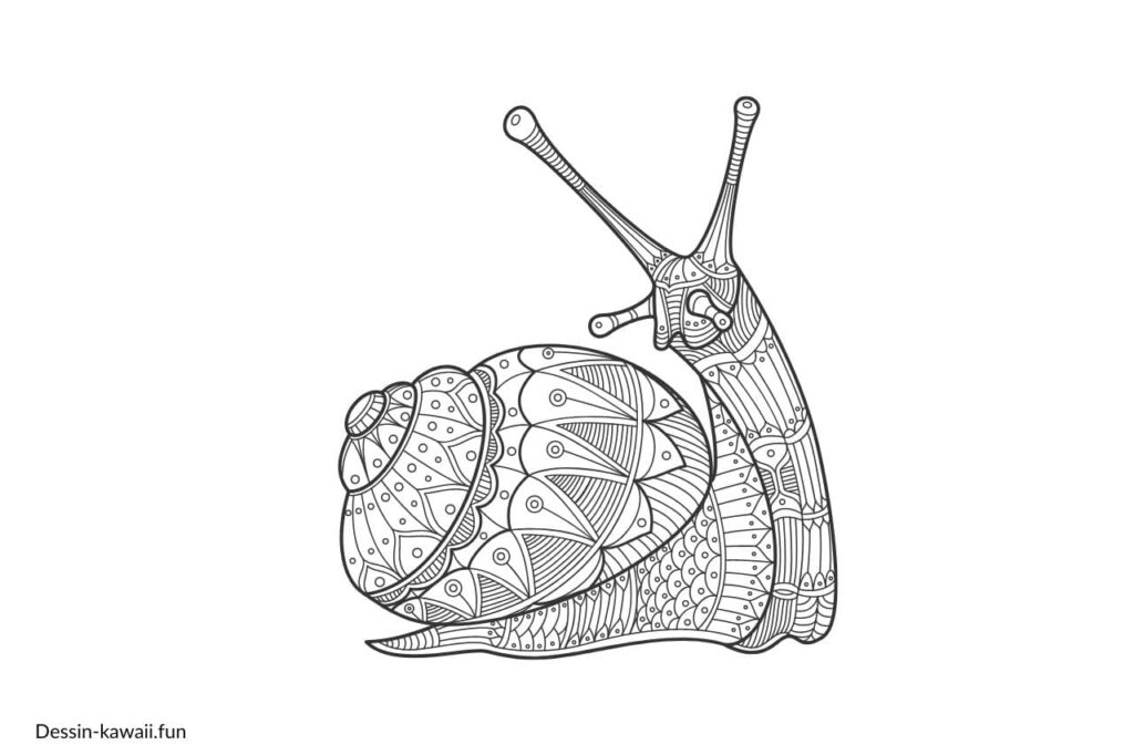 mandala escargot