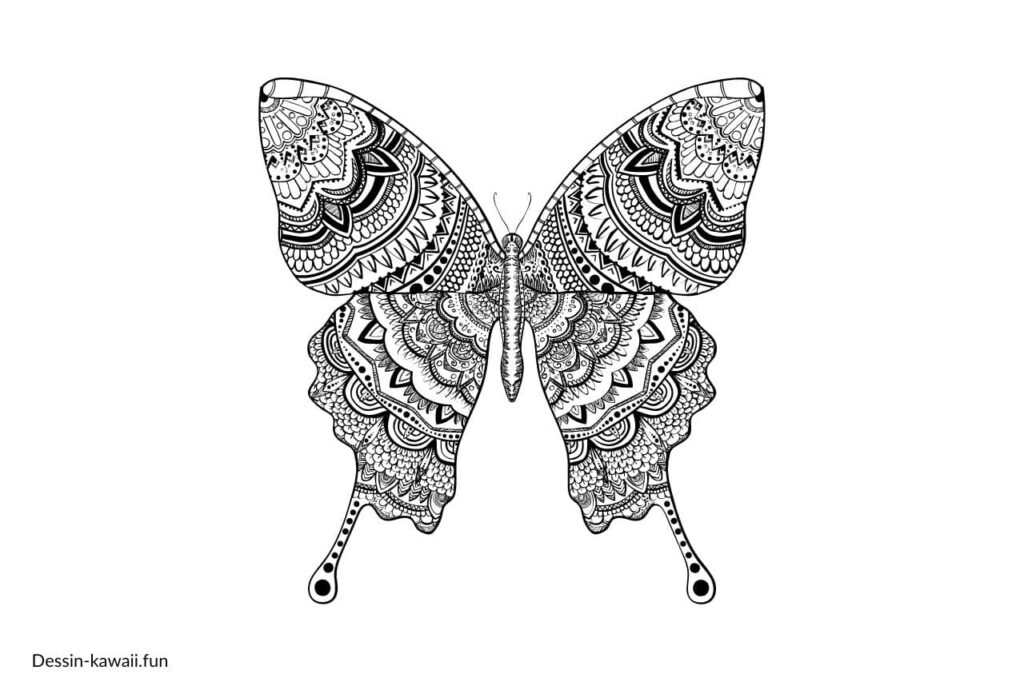 mandala papillon