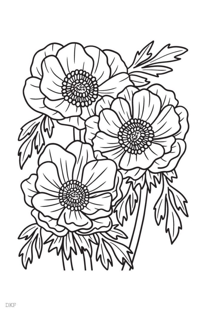 Coloriage Adulte ANÉMONE