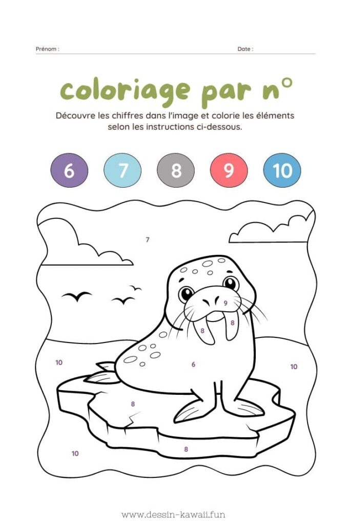 coloriage magique animaux le morse