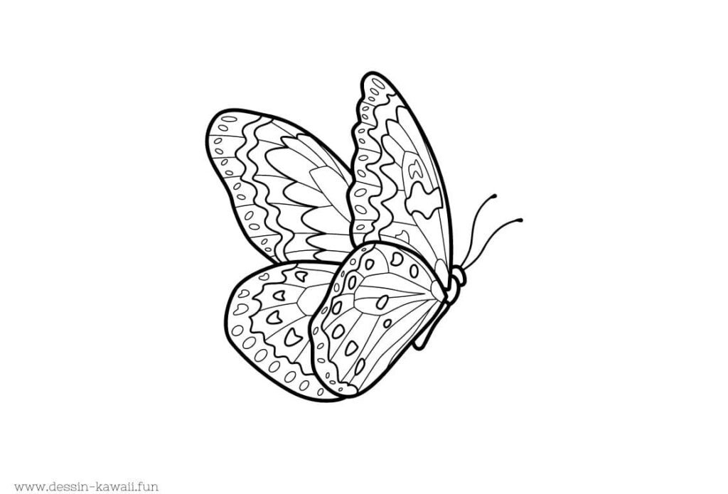 coloriage papillon à imprimer