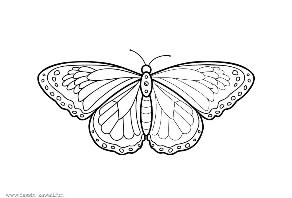 coloriage papillon gratuit