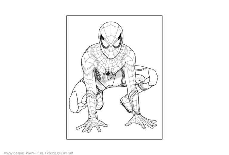 Coloriage Spiderman | Dessin de l'Homme Araignée GRATUIT