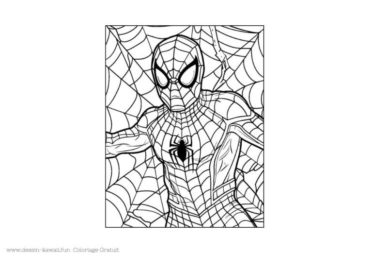 Coloriage Spiderman | Dessin de l'Homme Araignée GRATUIT