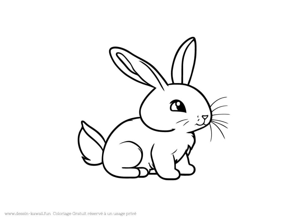 coloriage lapin 13