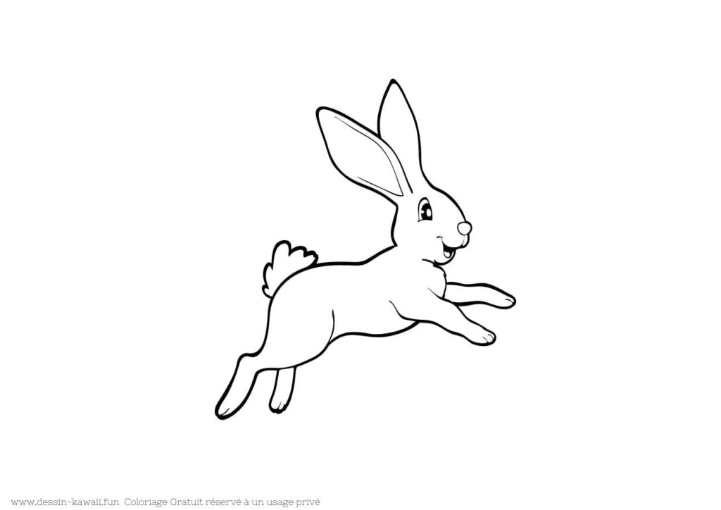 coloriage lapin 14