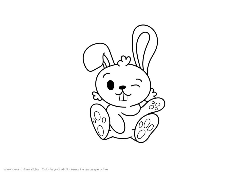 coloriage lapin 18