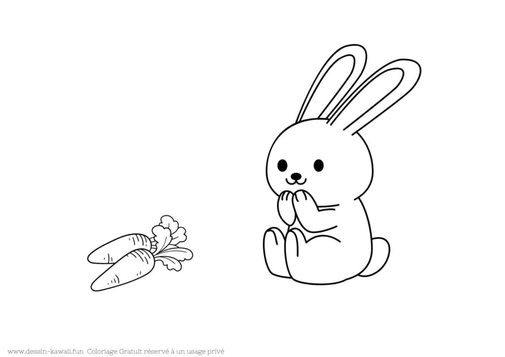 coloriage lapin 24