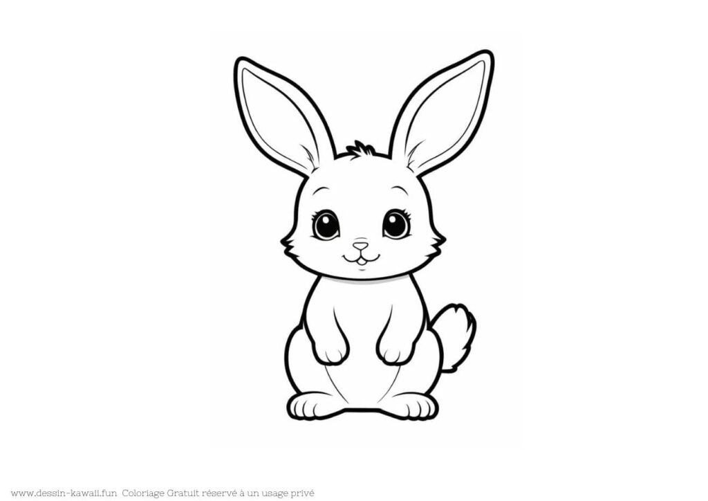 coloriage lapin 6