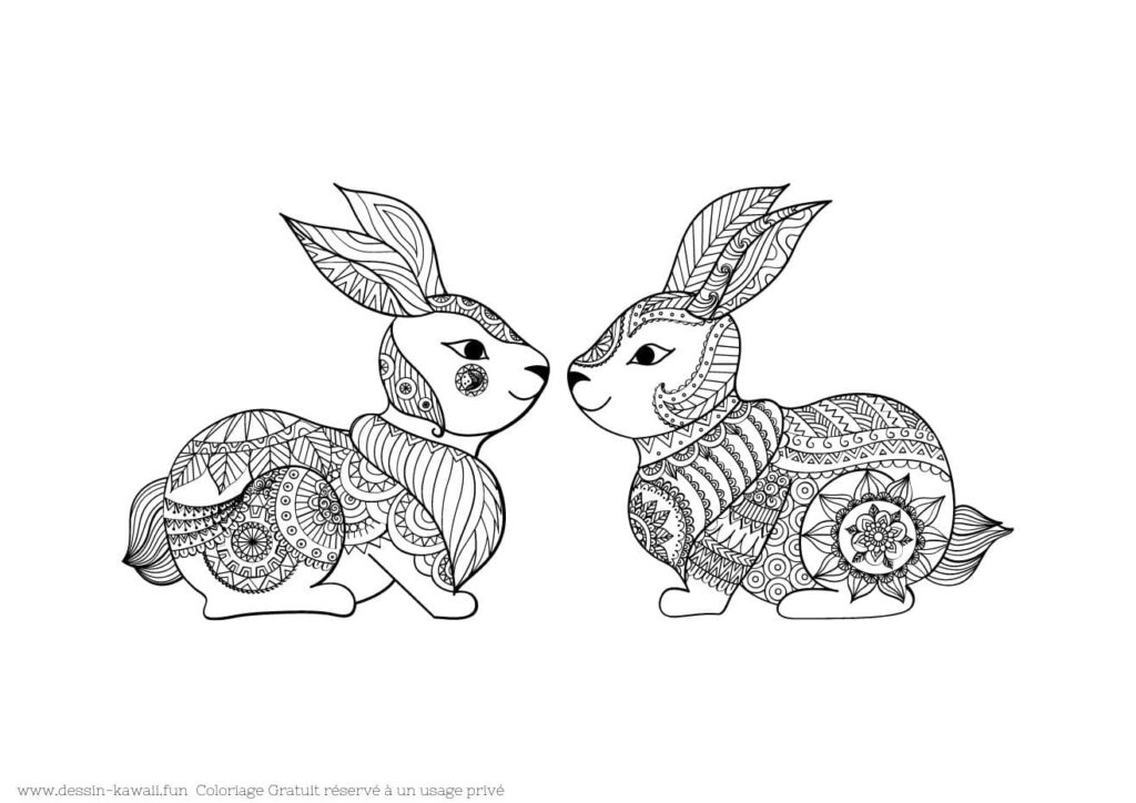 coloriage mandala lapin